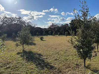 Terrain, 1 308 m²