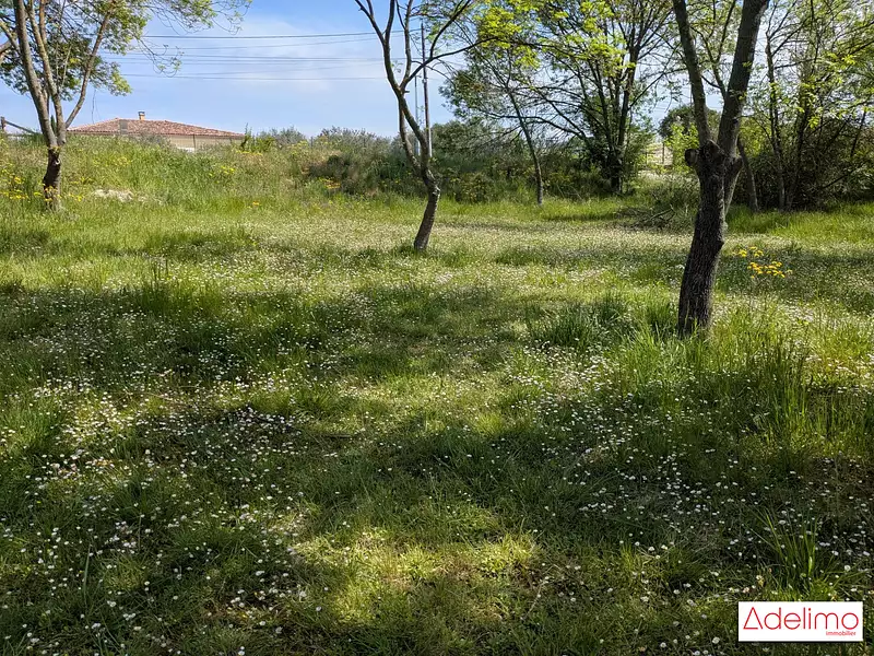 Terrain, 1 644 m²