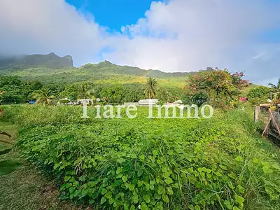 Terrain, 901 m²