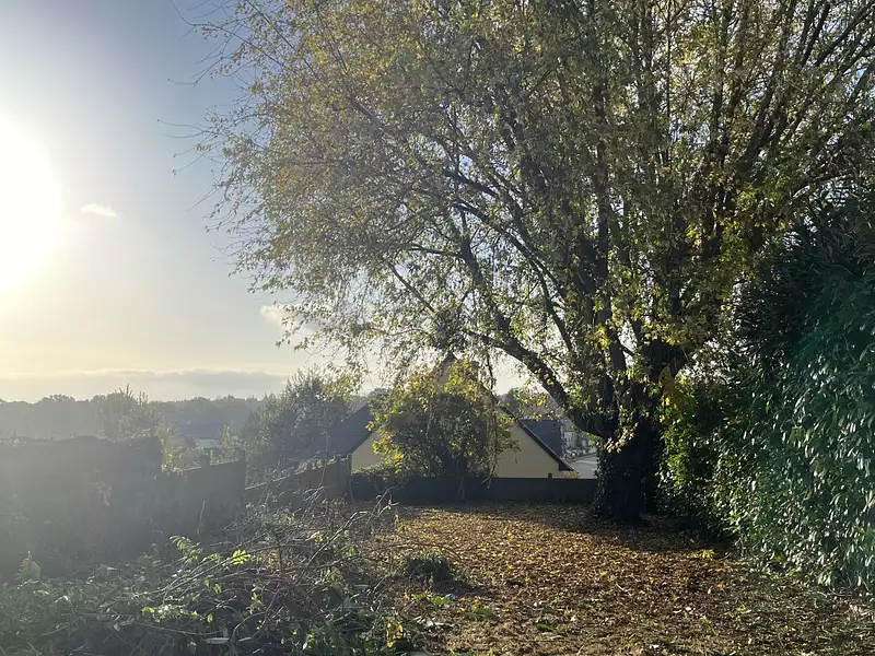 Terrain, 355 m²
