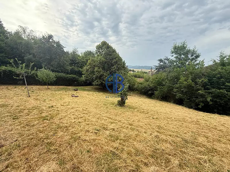 Terrain, 981 m²