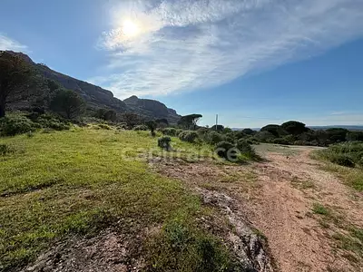 Terrain, 47 984 m²
