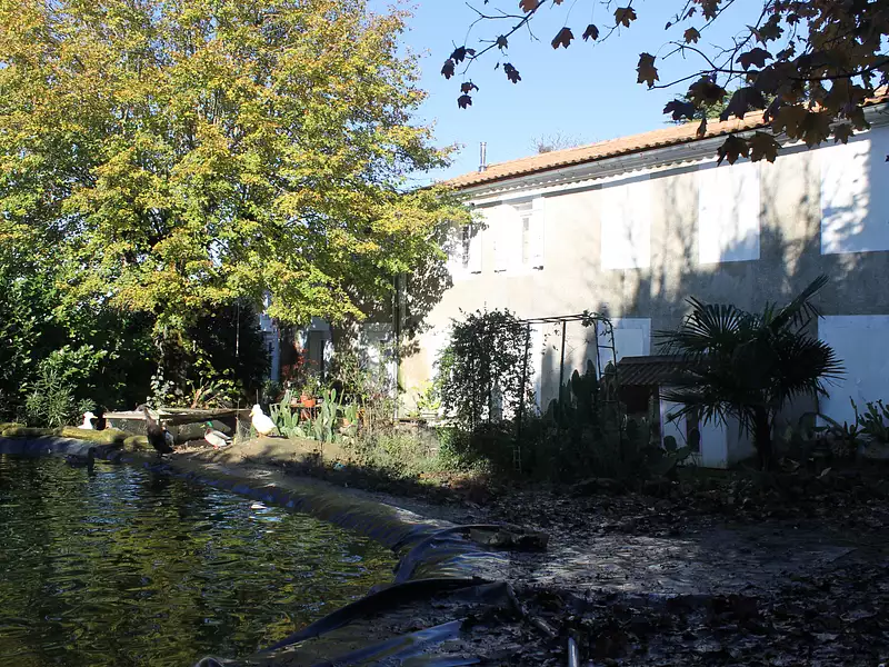 Maison, 210 m²