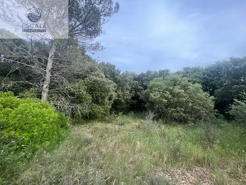 Terrain, 6 091 m²