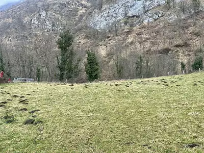 Terrain, 1 689 m²