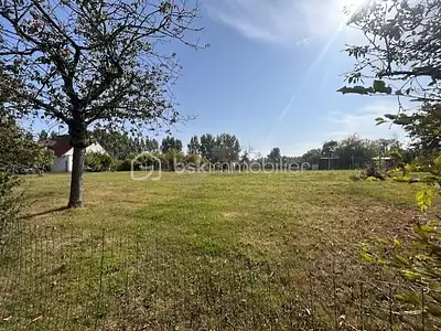 Terrain, 877 m²
