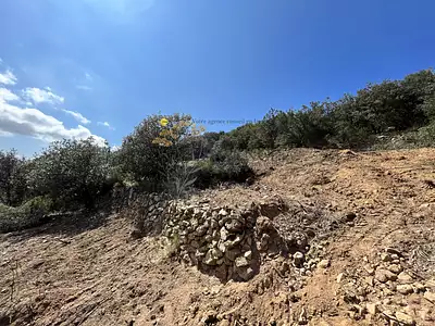 Terrain, 12 044 m²