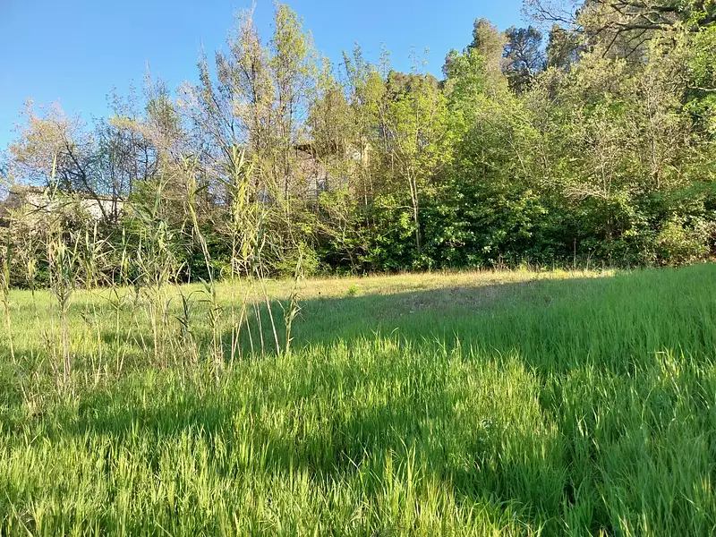 Terrain, 2 354 m²