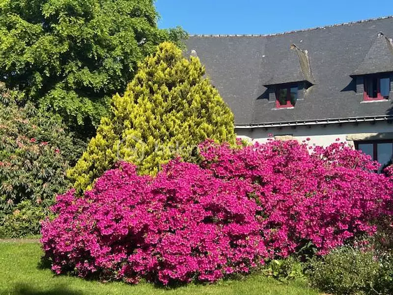 Maison, 218 m²