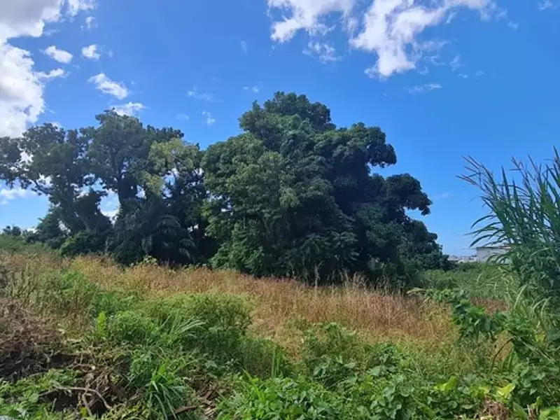 Terrain, 15 220 m²