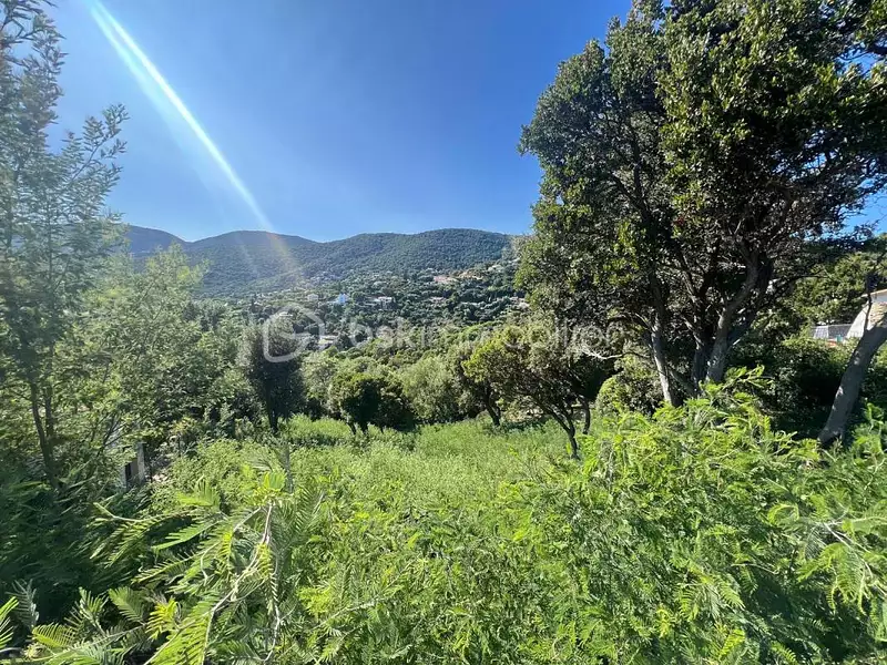 Terrain, 1 198 m²