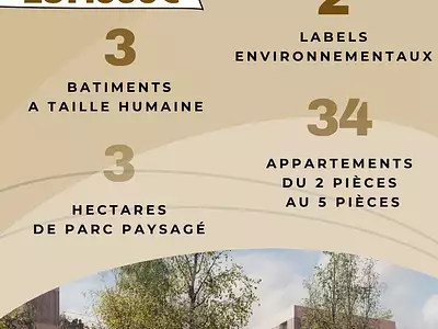 LE BOIS NICOLAS