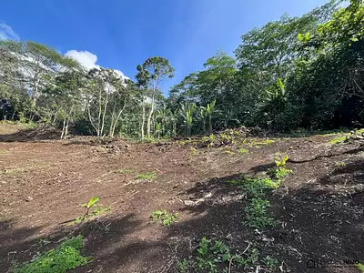 Terrain, 1 600 m²