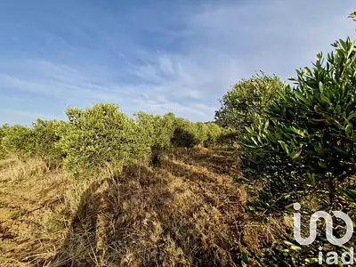 Terrain, 25 885 m²