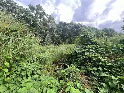 Terrain, 500 m²