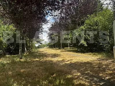 Maison, 233 m²
