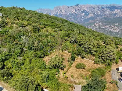 Terrain, 939 m²