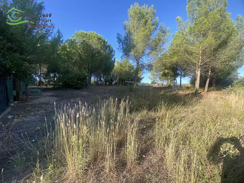 Terrain, 3 705 m²