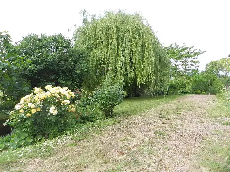 Maison, 110 m²