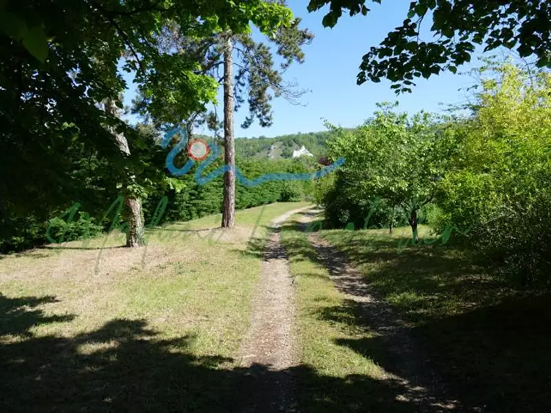 Terrain, 972 m²