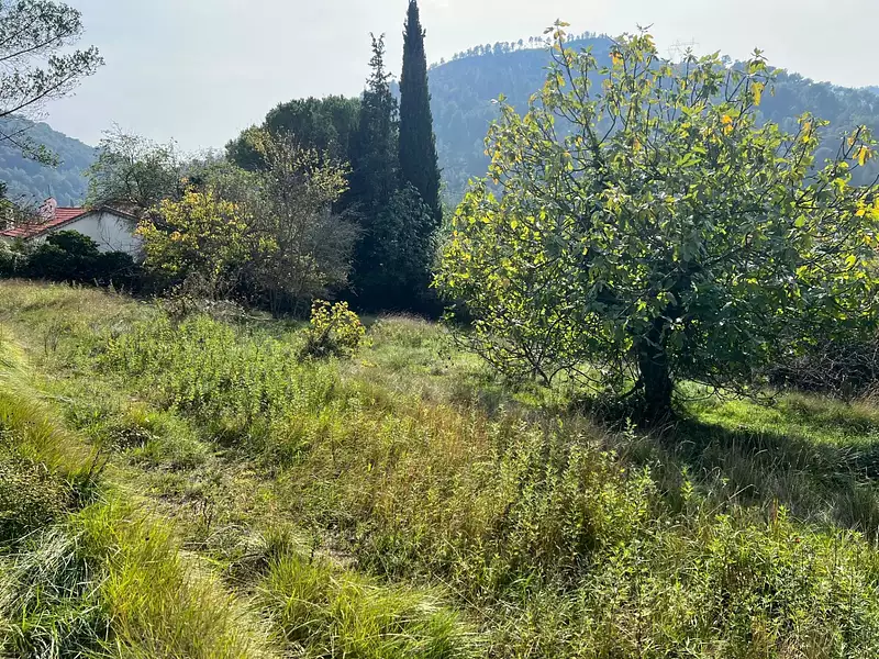 Terrain, 1 143 m²