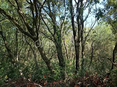 Terrain, 14 090 m²