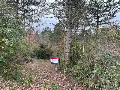 Terrain, 10 750 m²