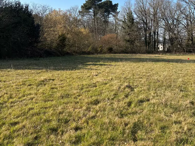 Terrain, 804 m²