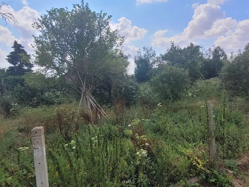 Terrain, 1 399 m²