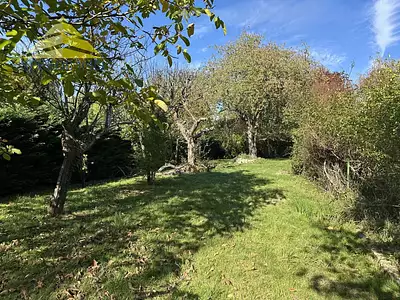 Terrain, 651 m²