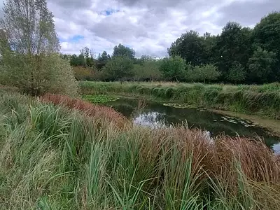 Terrain, 28 600 m²