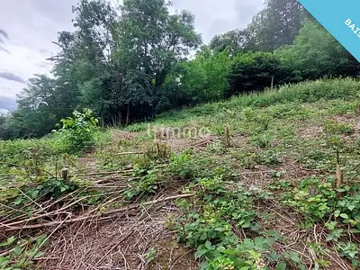 Terrain, 692 m²