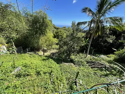 Maison, 61 m²