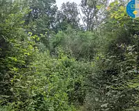 Terrain, 5 035 m²