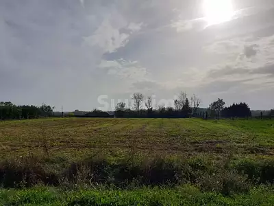 Terrain, 3 790 m²