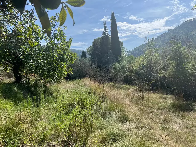 Terrain, 1 143 m²