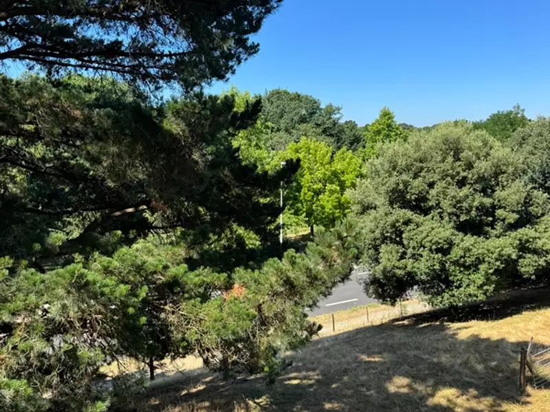 Appartement, 84 m²