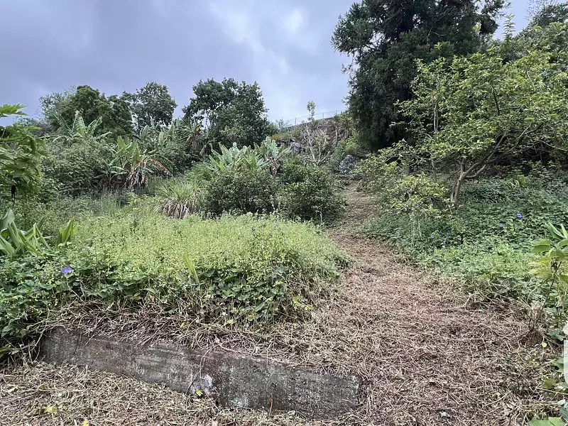 Terrain, 1 705 m²