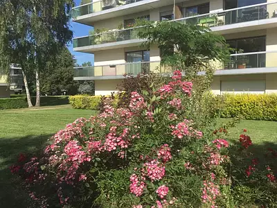 Appartement, 55 m²