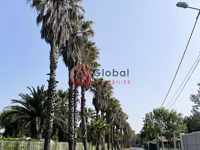 Terrain, 772 m²