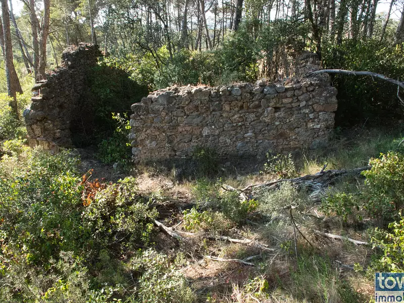 Terrain, 42 302 m²