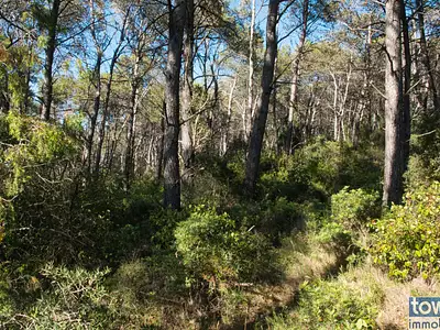 Terrain, 42 302 m²