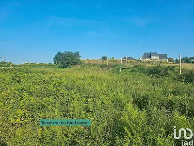 Terrain