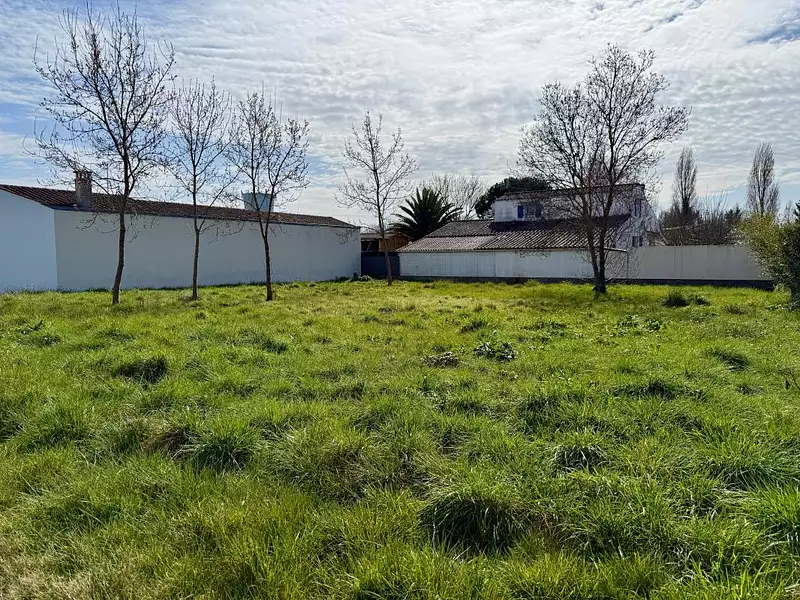 Terrain, 650 m²