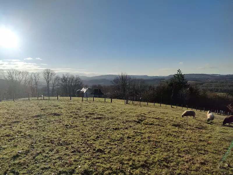Terrain, 1 966 m²