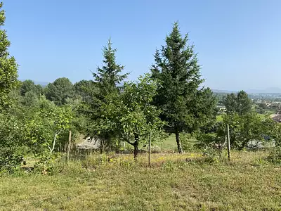 Terrain, 819 m²