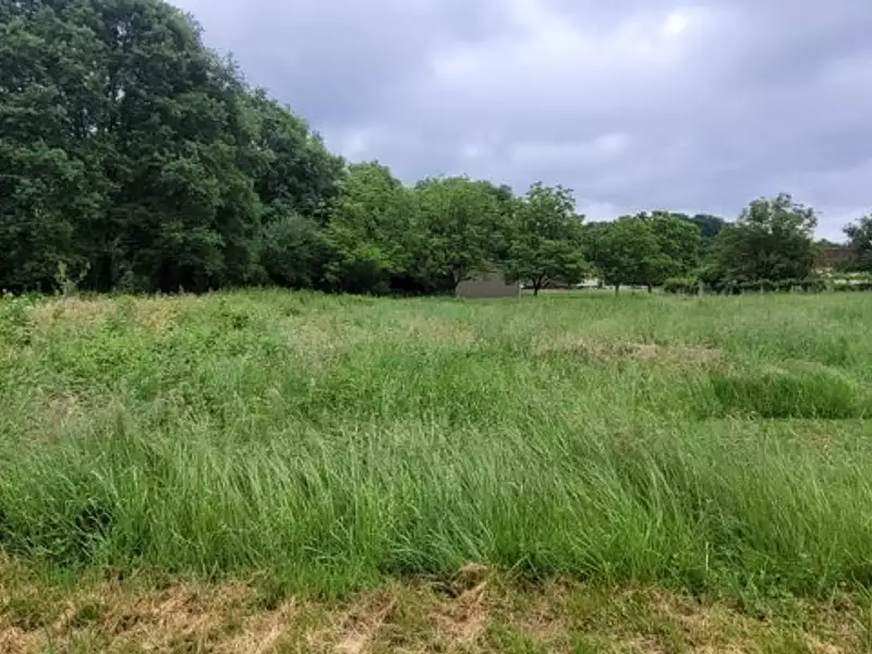 Terrain, 2 457 m²