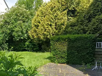 Maison, 318 m²