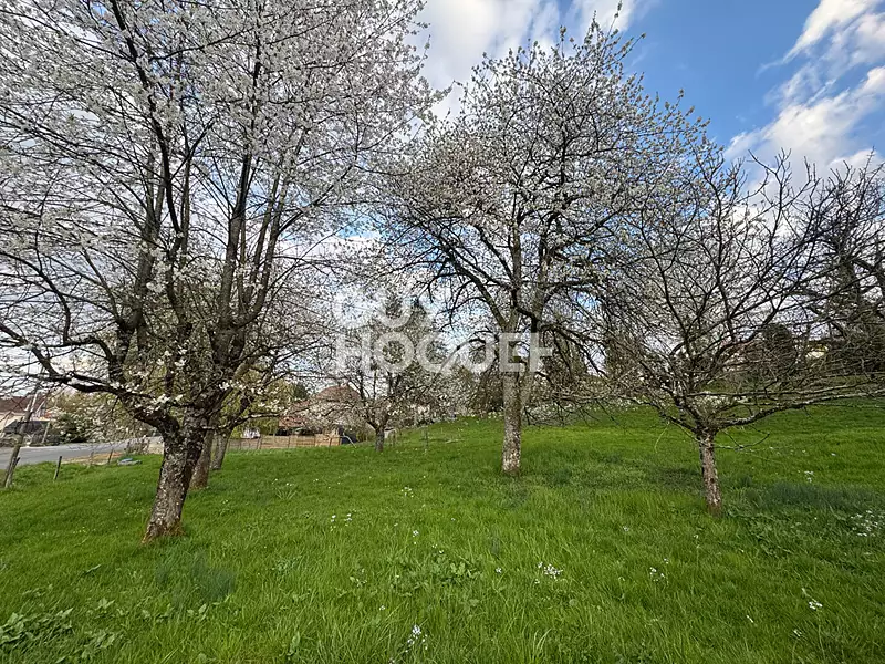 Terrain, 1 800 m²
