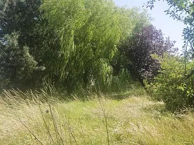 Terrain, 2 620 m²
